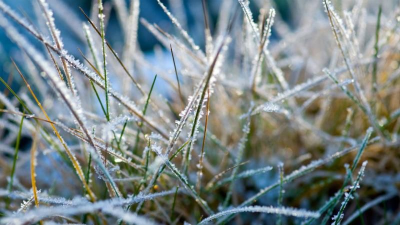 Спасатели предупредили о заморозках во многих областях: список Спасатели предупредили о заморозках во многих областях: список