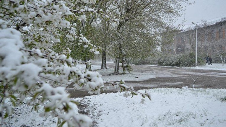 Снежный плен охватил еще одну область: неожиданные фото, видео Снежный плен охватил еще одну область: неожиданные фото, видео