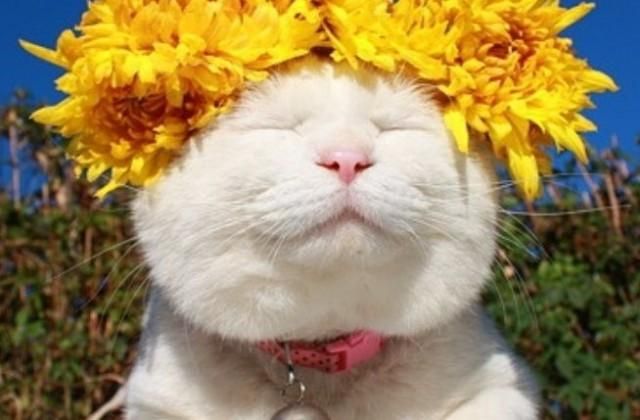 Прогноз погоди на 22 квітня: сніг нарешті відміняється Прогноз погоди на 22 квітня: сніг нарешті відміняється