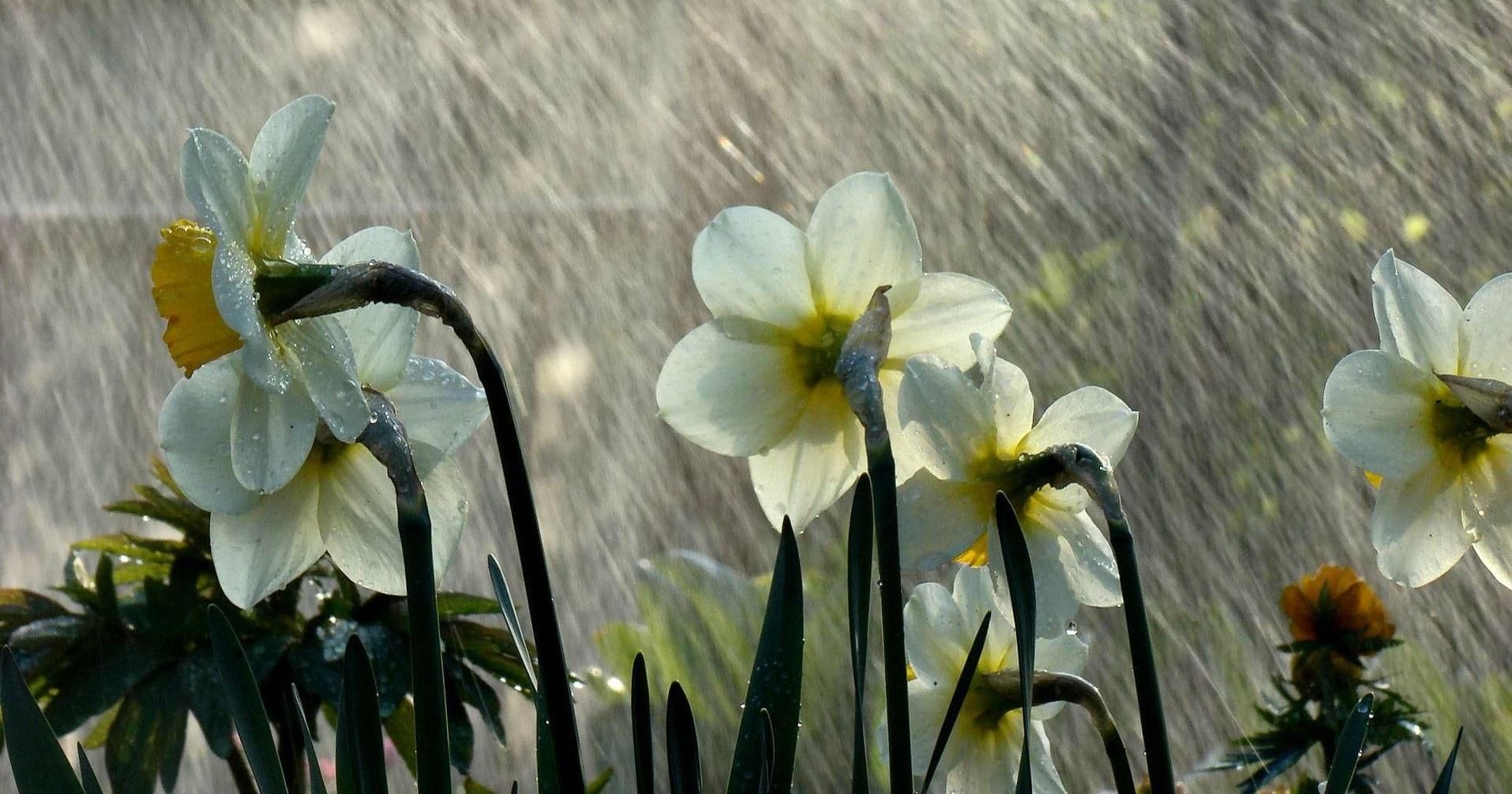 Прогноз погоды на 23 апреля: будет холодно и дождливо Прогноз погоды на 23 апреля: будет холодно и дождливо