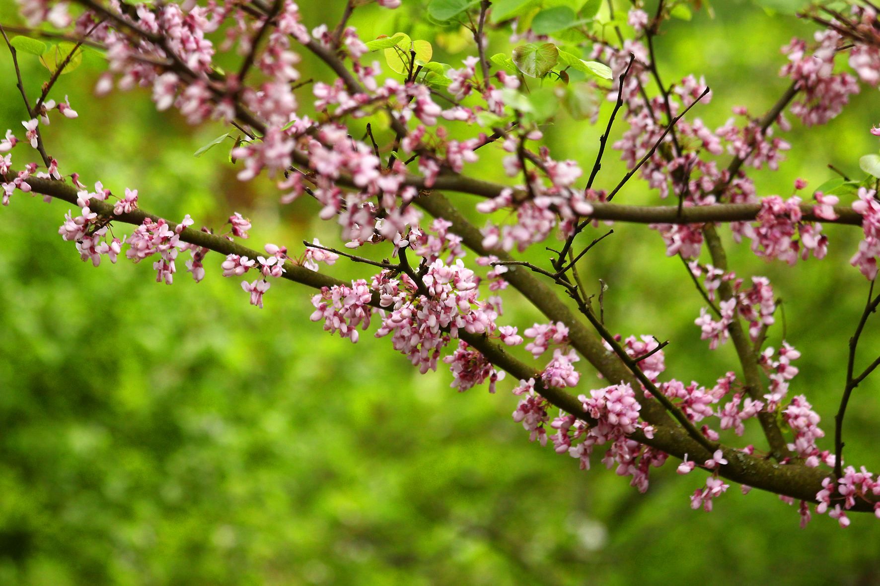 Синоптик рассказала, когда в Украину вернется тепло - 24 апреля 2017 - Телеканал новин 24 Синоптик рассказала, когда в Украину вернется тепло - 24 апреля 2017 - Телеканал новин 24