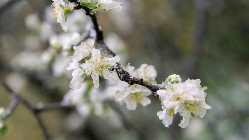 Не прячьте пальто. Синоптик предупреждает о новом похолодании Не прячьте пальто. Синоптик предупреждает о новом похолодании