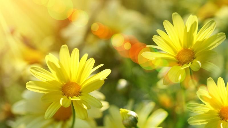 Прогноз погоды на 27 апреля в Киеве и городах Украины Прогноз погоды на 27 апреля в Киеве и городах Украины