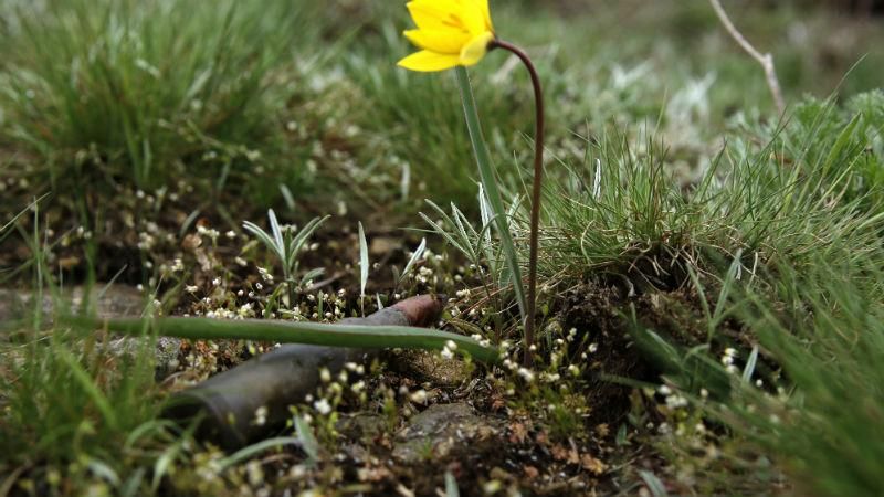 Бойовики гатять з важкого озброєння: один український воїн поранений 