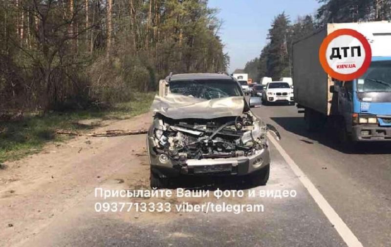 Під Києвом боксер на позашляховику збив лося: опублікували фото