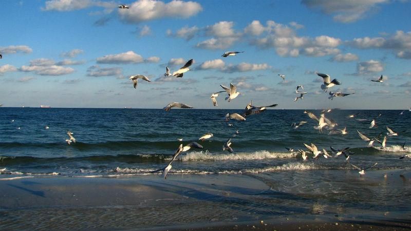 На травневі свята – до моря: "Укрзалізниця" потішила додатковими потягами На травневі свята – до моря: "Укрзалізниця" потішила додатковими потягами