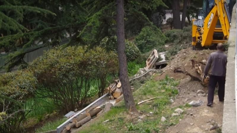 Окупанти в Криму вирізають рідкісні десятилітні дерева, щоб побудувати стіну навколо "Артеку" Окупанти в Криму вирізають рідкісні десятилітні дерева, щоб побудувати стіну навколо "Артеку"