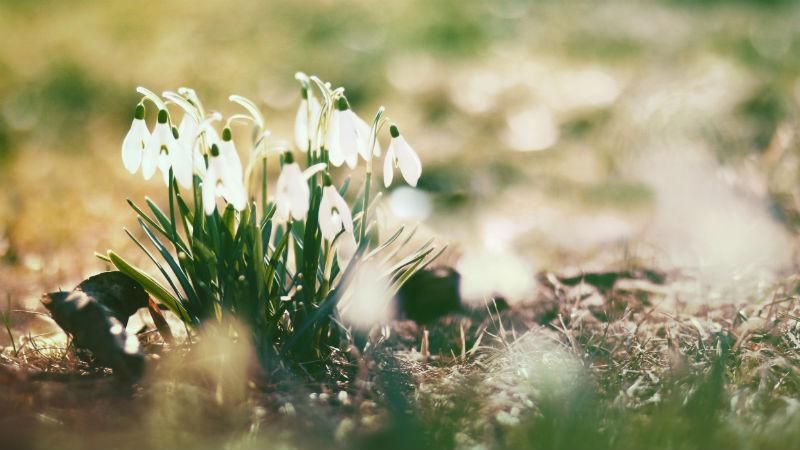 Прогноз погоди на 2 травня в Києві та містах України Прогноз погоди на 2 травня в Києві та містах України