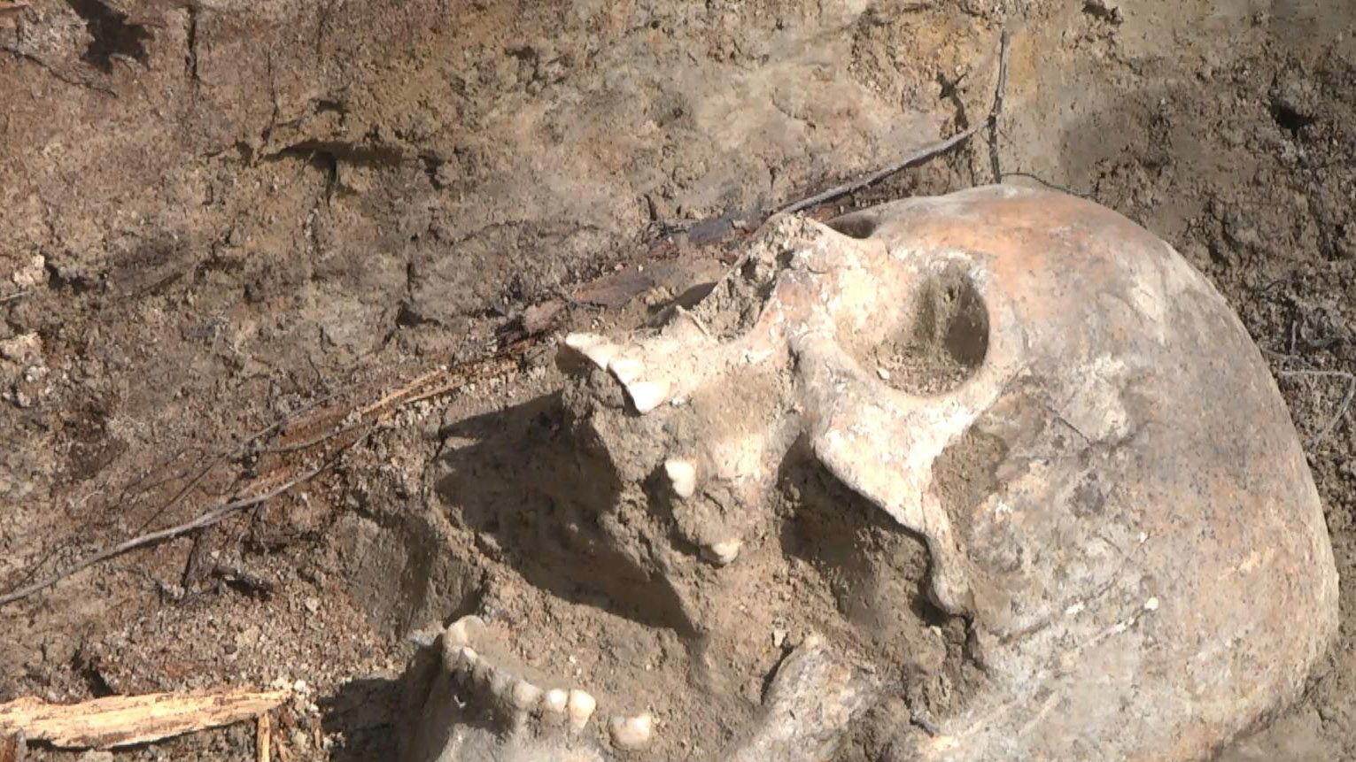 У Львові на таємному тюремному цвинтарі ексгумували тіла в'язнів У Львові на таємному тюремному цвинтарі ексгумували тіла в'язнів