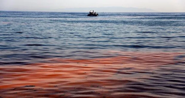 Мармурове море в Туреччині стало помаранчевим