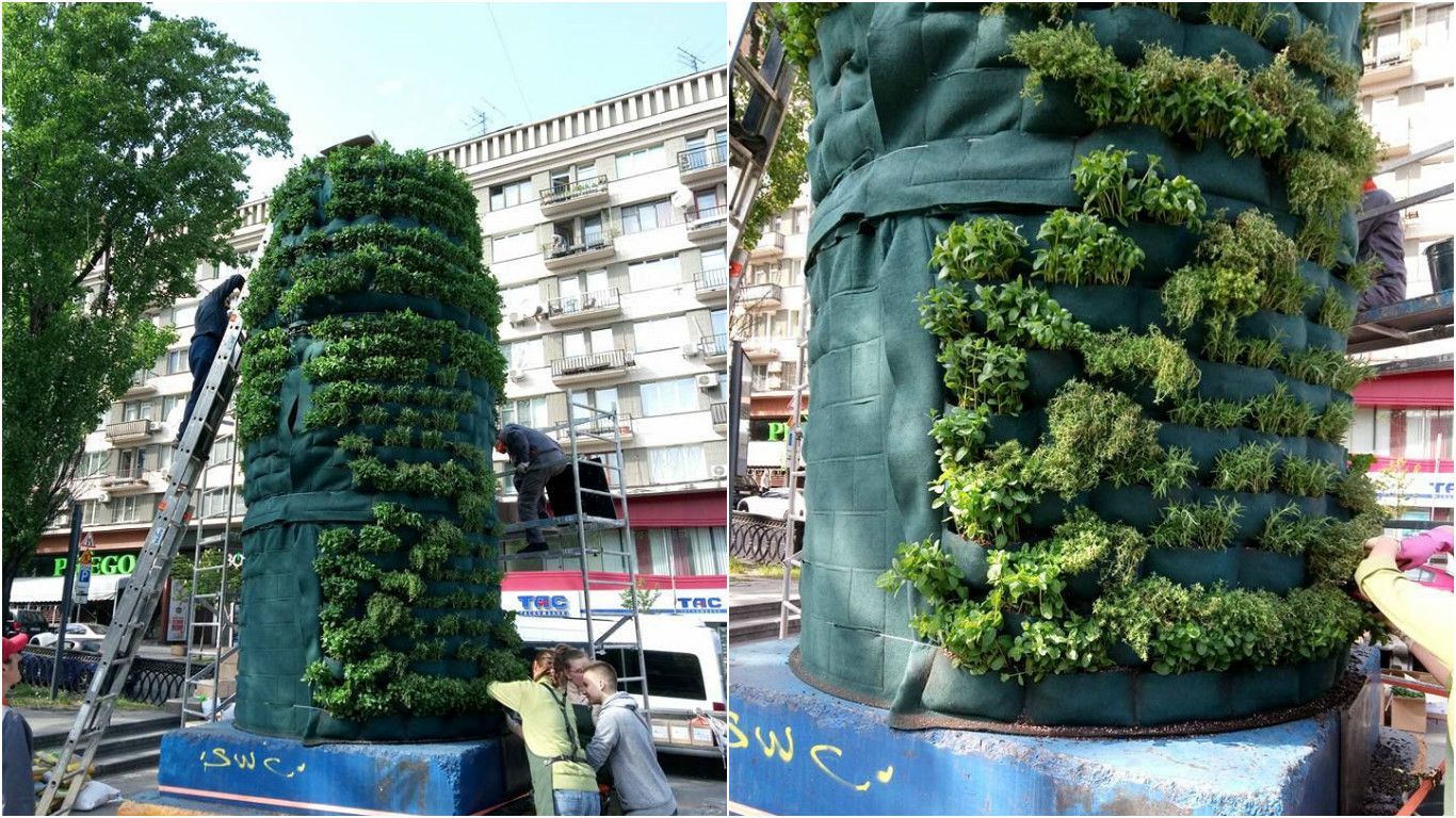 Зелений і пахучий. Як зараз виглядає постамент пам'ятника Леніну у Києві: фото