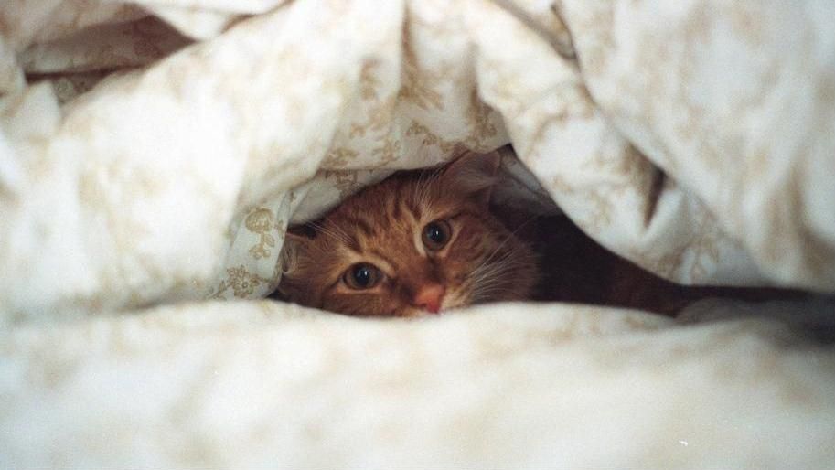 Прогноз від синоптиків: літо в Україні відкладається Прогноз від синоптиків: літо в Україні відкладається