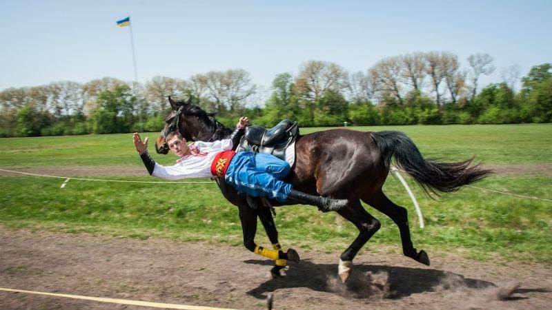 Кінно-спортивний фестиваль відбувся на Полтавщині Кінно-спортивний фестиваль відбувся на Полтавщині