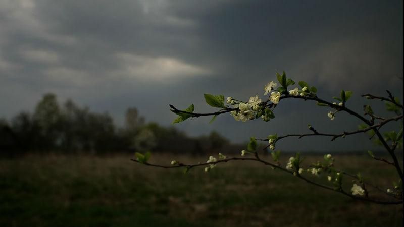 Прогноз погоды на 8 мая в Киеве и городах Украины