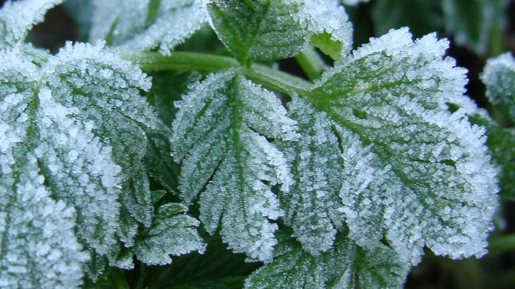 На Украину надвигается значительное похолодание