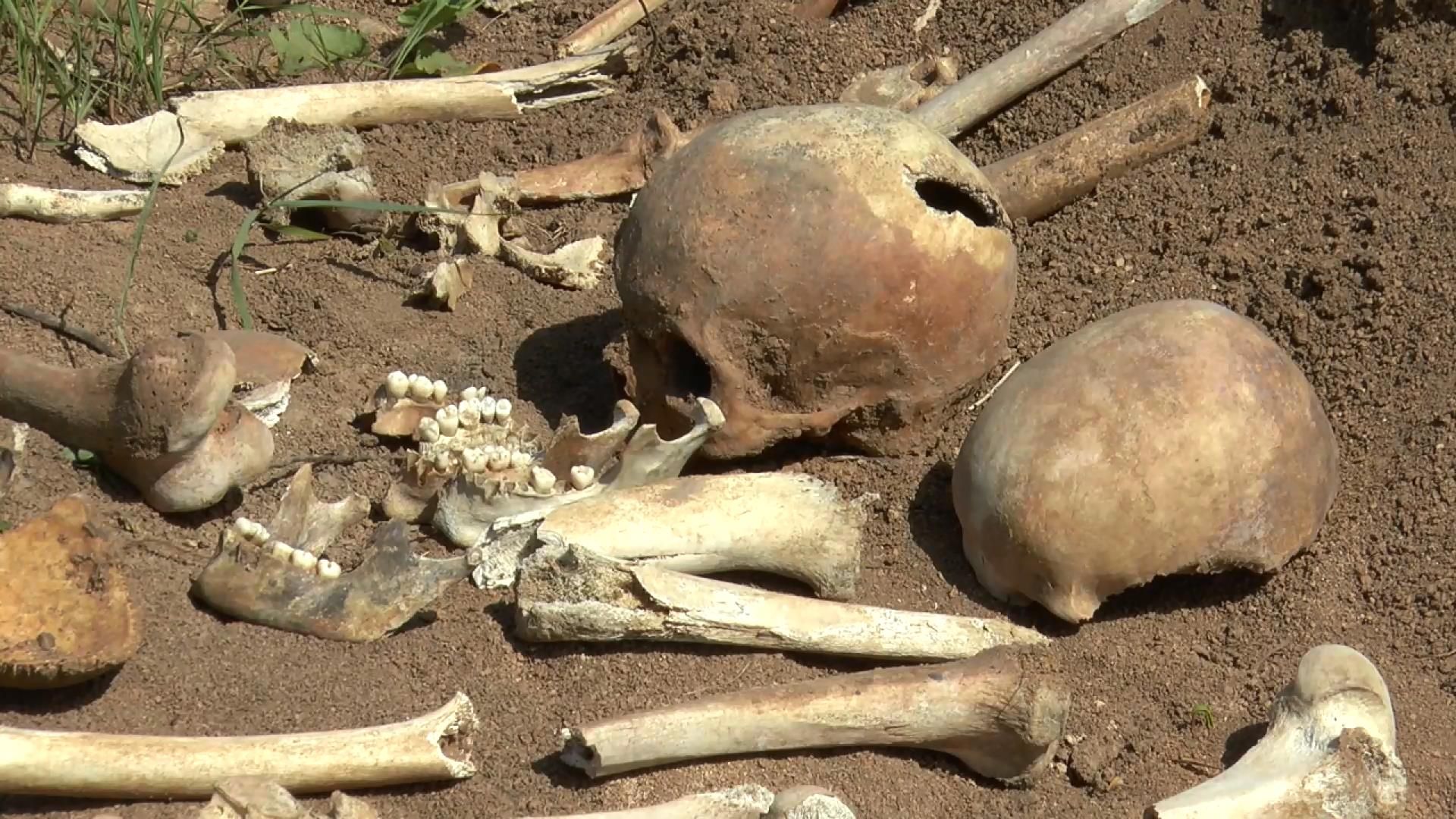 Два месяца в Полтаве под открытым небом лежали человеческие останки