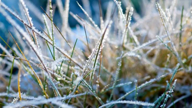 Погода продолжает удивлять – впереди заморозки