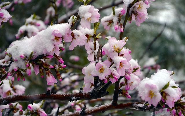 Аномальна весна: Україну продовжить морозити