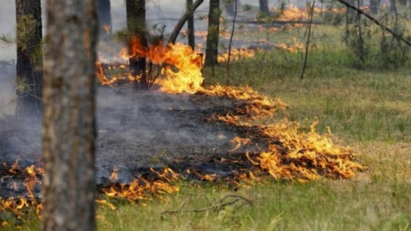 Рятувальники оголосили надзвичайний рівень пожежної небезпеки