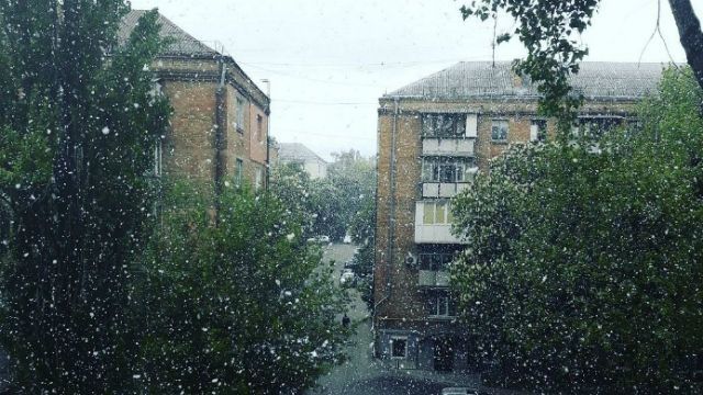 Внезапный снег в мае – метеоролог назвал причину и рассказал когда потеплеет Внезапный снег в мае – метеоролог назвал причину и рассказал когда потеплеет