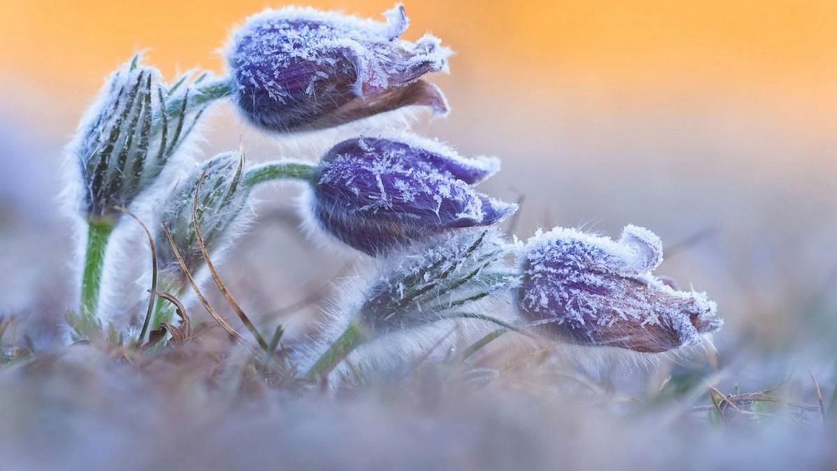Прогноз погоды на 11 мая в Украине: весна удивит крайностями Прогноз погоды на 11 мая в Украине: весна удивит крайностями
