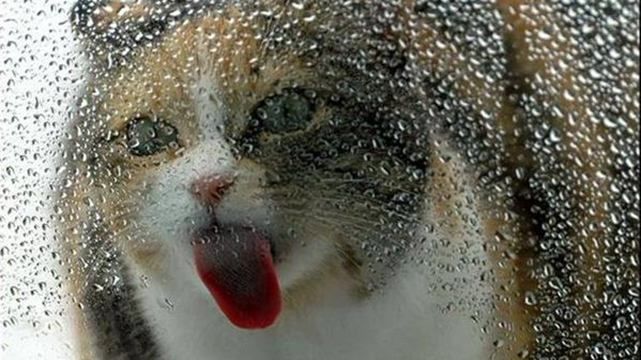 Не расслабляемся: синоптики рассказали, к чему готовиться украинцам после снега Не расслабляемся: синоптики рассказали, к чему готовиться украинцам после снега