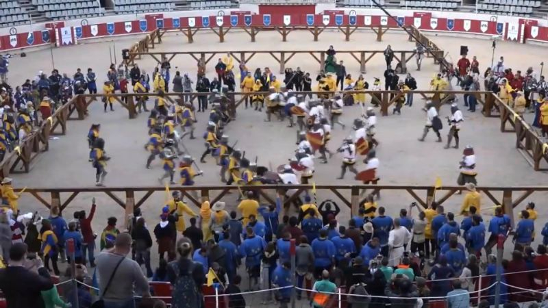 Збірна України посіла перше місце на чемпіонату світу з історичного середньовічного бою
