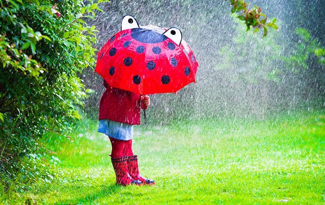 Прогноз погоди на 15 травня в Києві та містах України Прогноз погоди на 15 травня в Києві та містах України