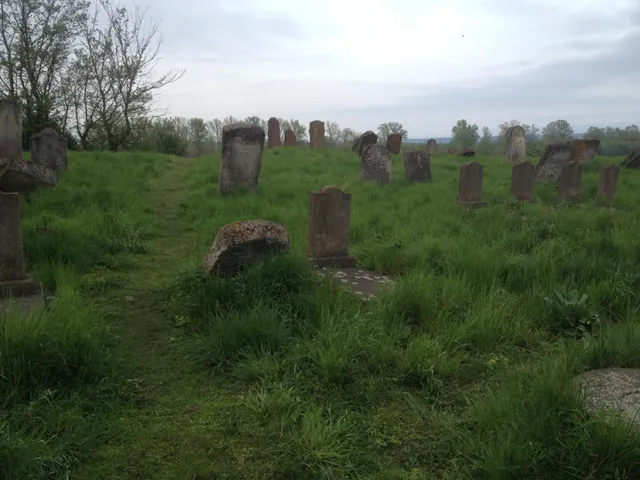 Караїмський цвинтар у Галичі Караїмський цвинтар у Галичі