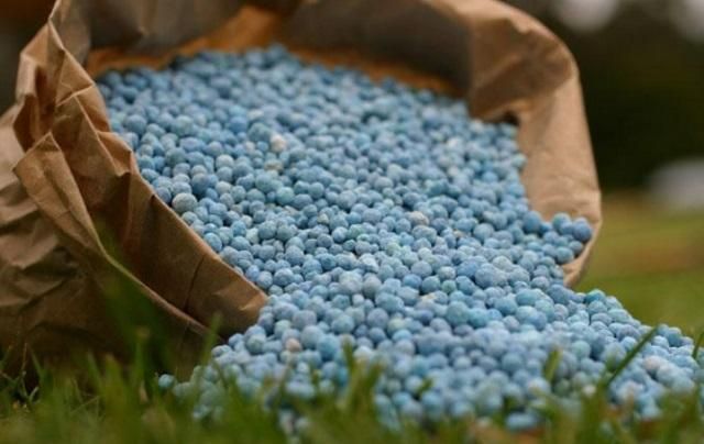 Кабмін допустив створення російської монополії на українському ринку азотних добрив, – аналітик Кабмін допустив створення російської монополії на українському ринку азотних добрив, – аналітик