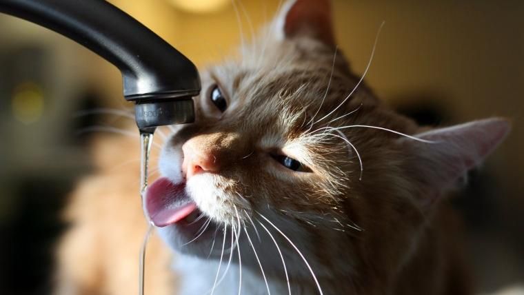 Тарифы на холодную воду резко выросли: инфографика Тарифы на холодную воду резко выросли: инфографика