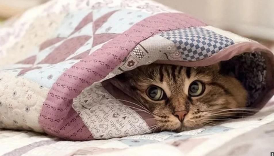 В Украину идет новый холодный фронт В Украину идет новый холодный фронт