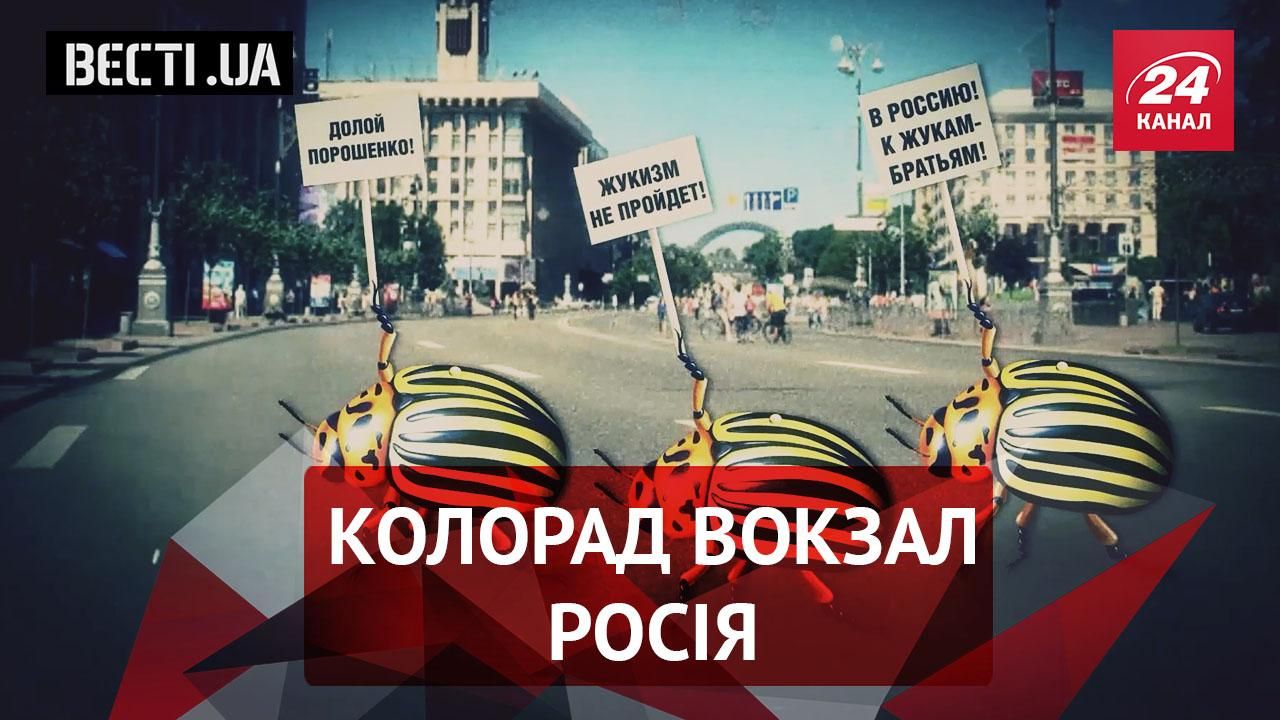 Вєсті.UA.  "Жукізм" не пройде. Краса (не) врятує "Радикальну партію"
