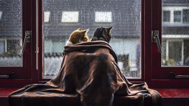 Що принесе "російський" циклон в Україну: синоптик дала прогноз Що принесе "російський" циклон в Україну: синоптик дала прогноз