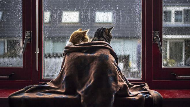 Что принесет "российский" циклон: синоптик дал прогноз