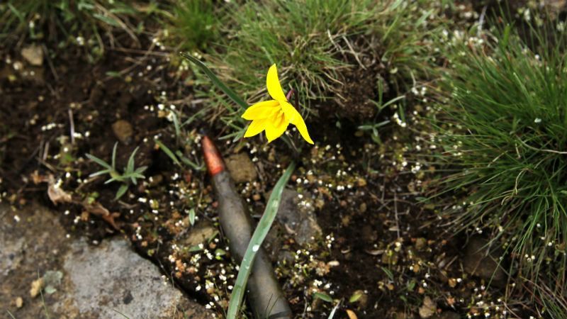 У штабі АТО повідомили невтішні новини з фронту У штабі АТО повідомили невтішні новини з фронту