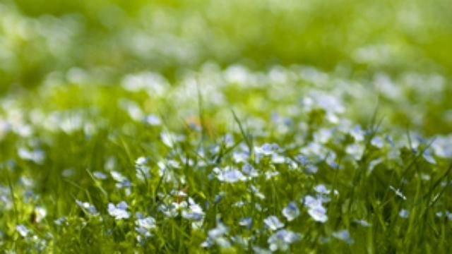 На Украину снова надвигаются заморозки: синоптики предупредили, когда ждать похолодания На Украину снова надвигаются заморозки: синоптики предупредили, когда ждать похолодания