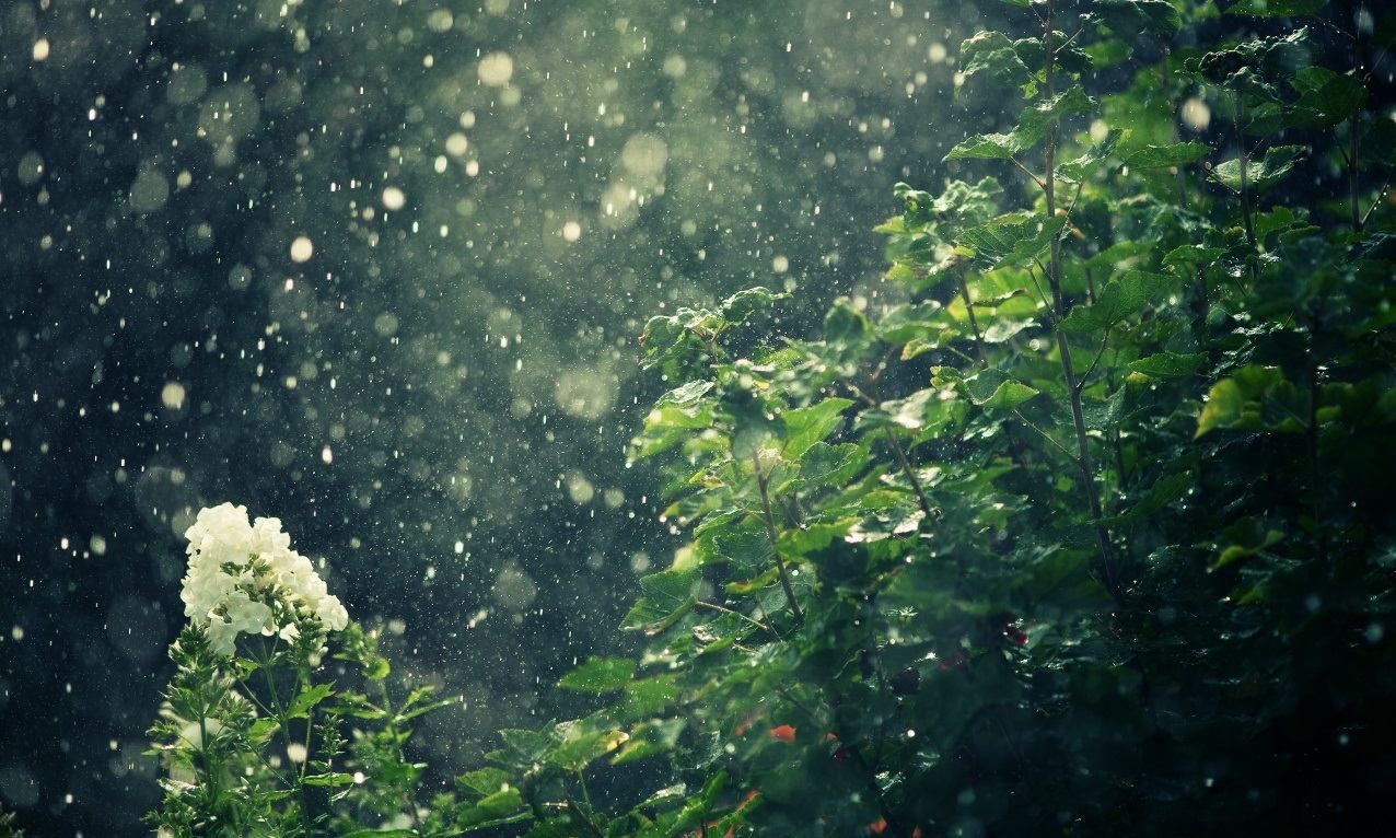Прогноз погоди на 22 травня: в Україні дощитиме