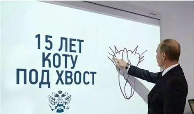 Кішка. Вигляд ззаду Кішка. Вигляд ззаду