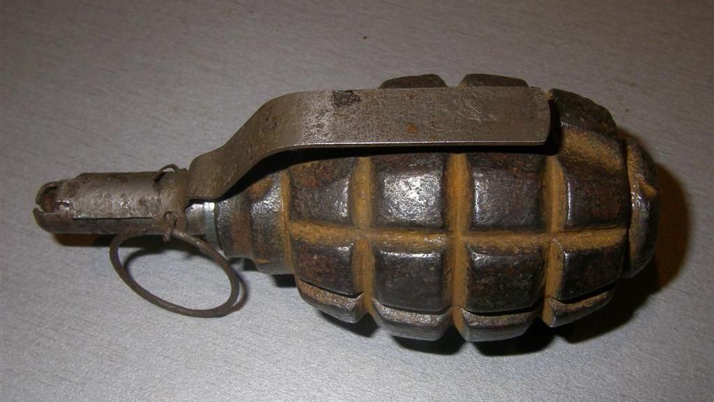 На дитячому майданчику у Києві знайшли гранату: відео На дитячому майданчику у Києві знайшли гранату: відео