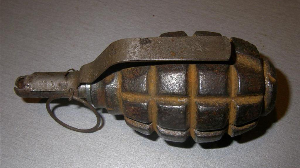 На детской площадке в Киеве нашли гранату: видео