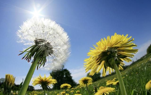 Прогноз погоды на 23 мая: Украину окутает летнее тепло и дожди Прогноз погоды на 23 мая: Украину окутает летнее тепло и дожди