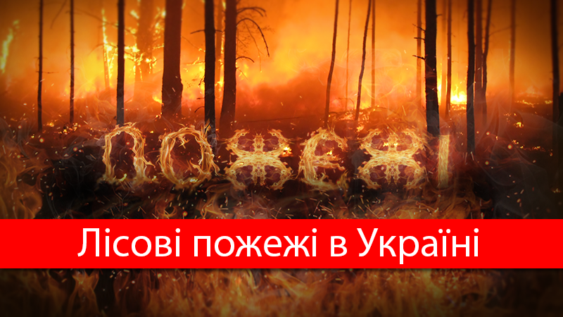 Яких збитків завдали Україні лісові пожежі за рік: вражаючі цифри