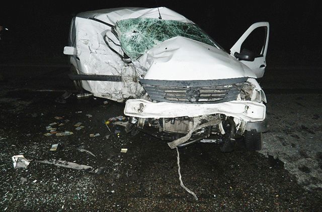 Смертельна ДТП трапилася на Київщині через раптову появу кабана Смертельна ДТП трапилася на Київщині через раптову появу кабана