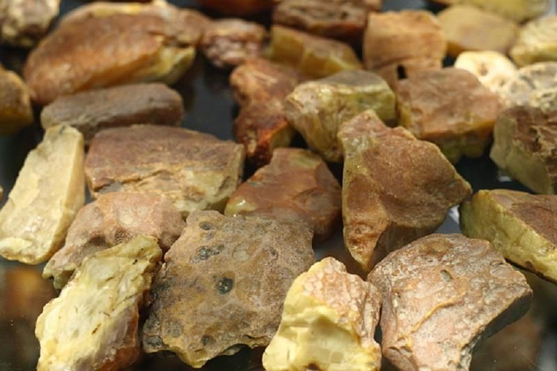 В Житомирской области решили легализовать добычу янтаря