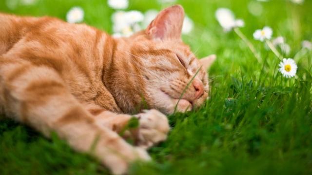 Погода 28.05.17 в Україні: прогноз синоптиків Погода 28.05.17 в Україні: прогноз синоптиків