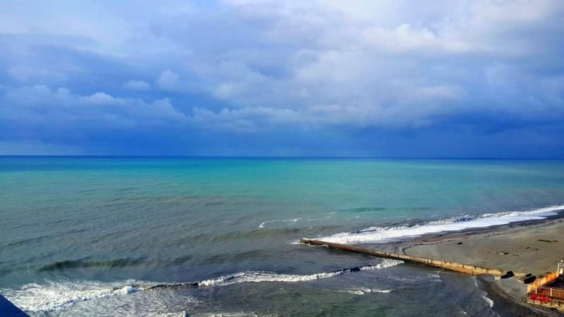 Кілька десятків мертвих дельфінів викинуло на пляжі Одеси через недбальство браконьєрів
Кілька десятків мертвих дельфінів викинуло на пляжі Одеси через недбальство браконьєрів