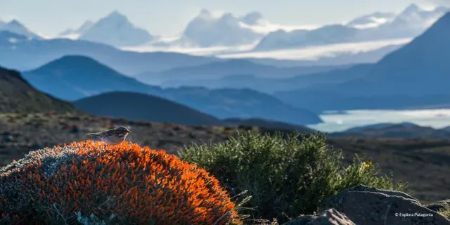 Найкраще місце для відпочинку Найкраще місце для відпочинку