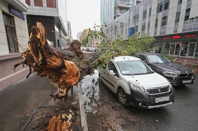 Москвичів "забули" попередити про потужний ураган Москвичів "забули" попередити про потужний ураган