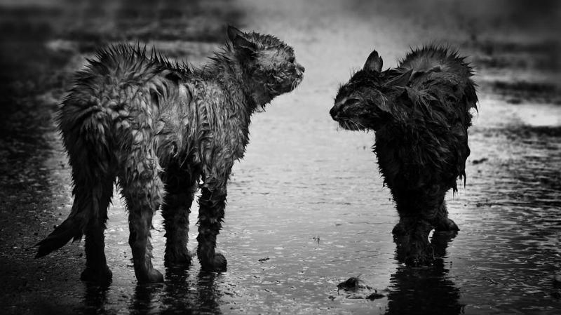 Не ховайте теплі речі. В Україні знову зміниться погода Не ховайте теплі речі. В Україні знову зміниться погода